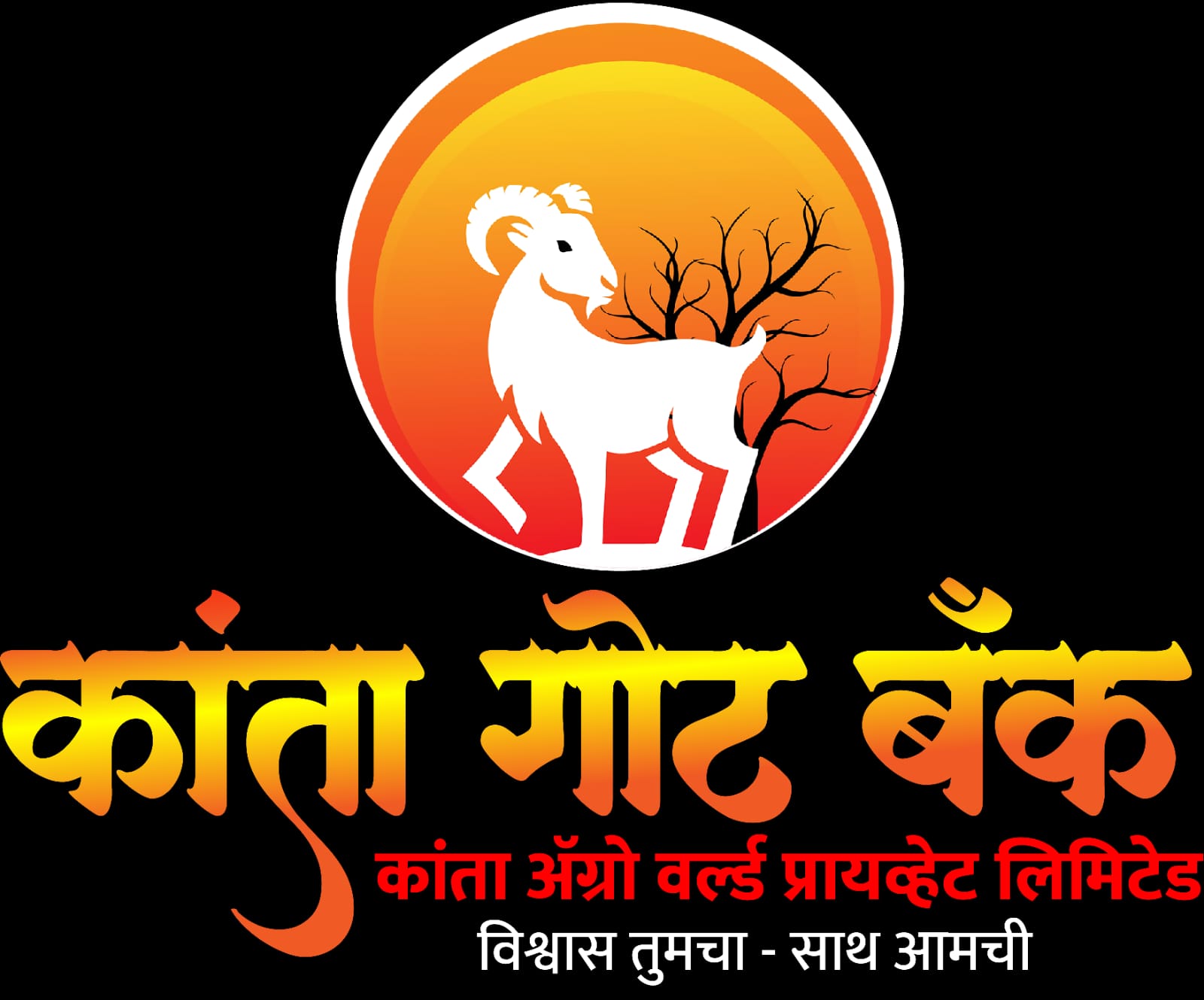 कांता गोट बँक लोगो